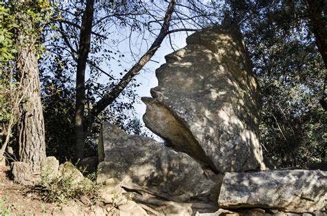 bosque encantado de orrius|El bosque encantado a media hora de Barcelona que es perfecto。